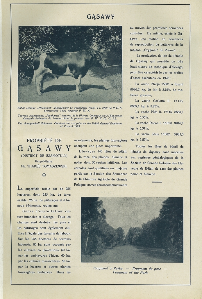 041 gasawy.jpg